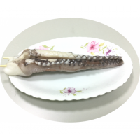 章魚串L (Squid leg L)