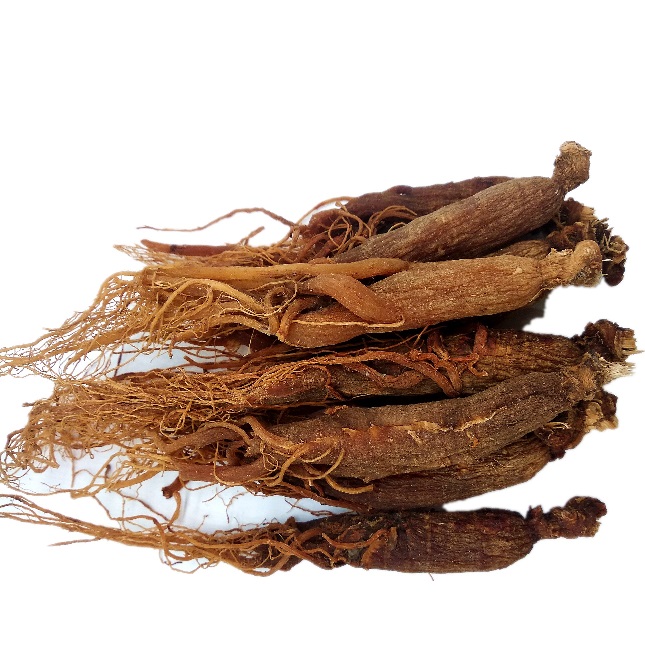 Best No Sugar Red Ginseng Root