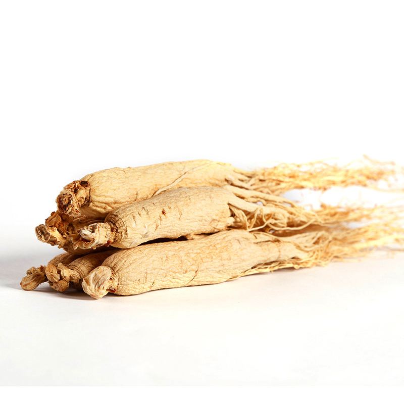 Ginseng Root